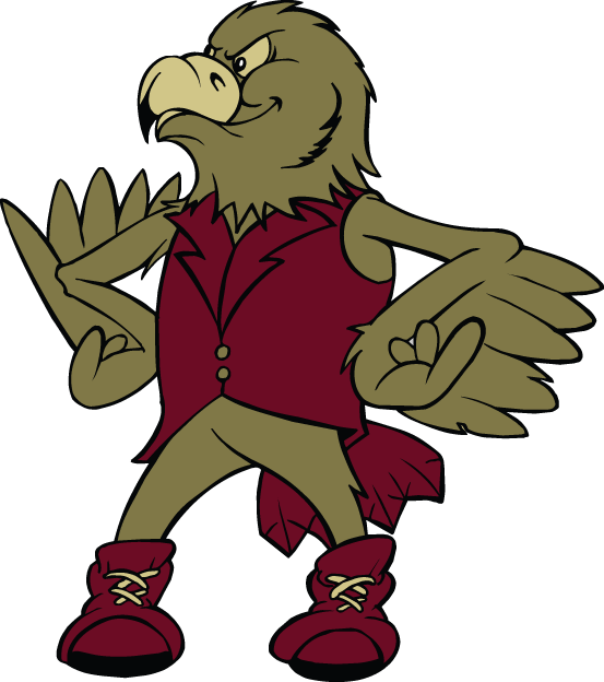 Denver Pioneers 1999-2003 Mascot Logo diy fabric transfer